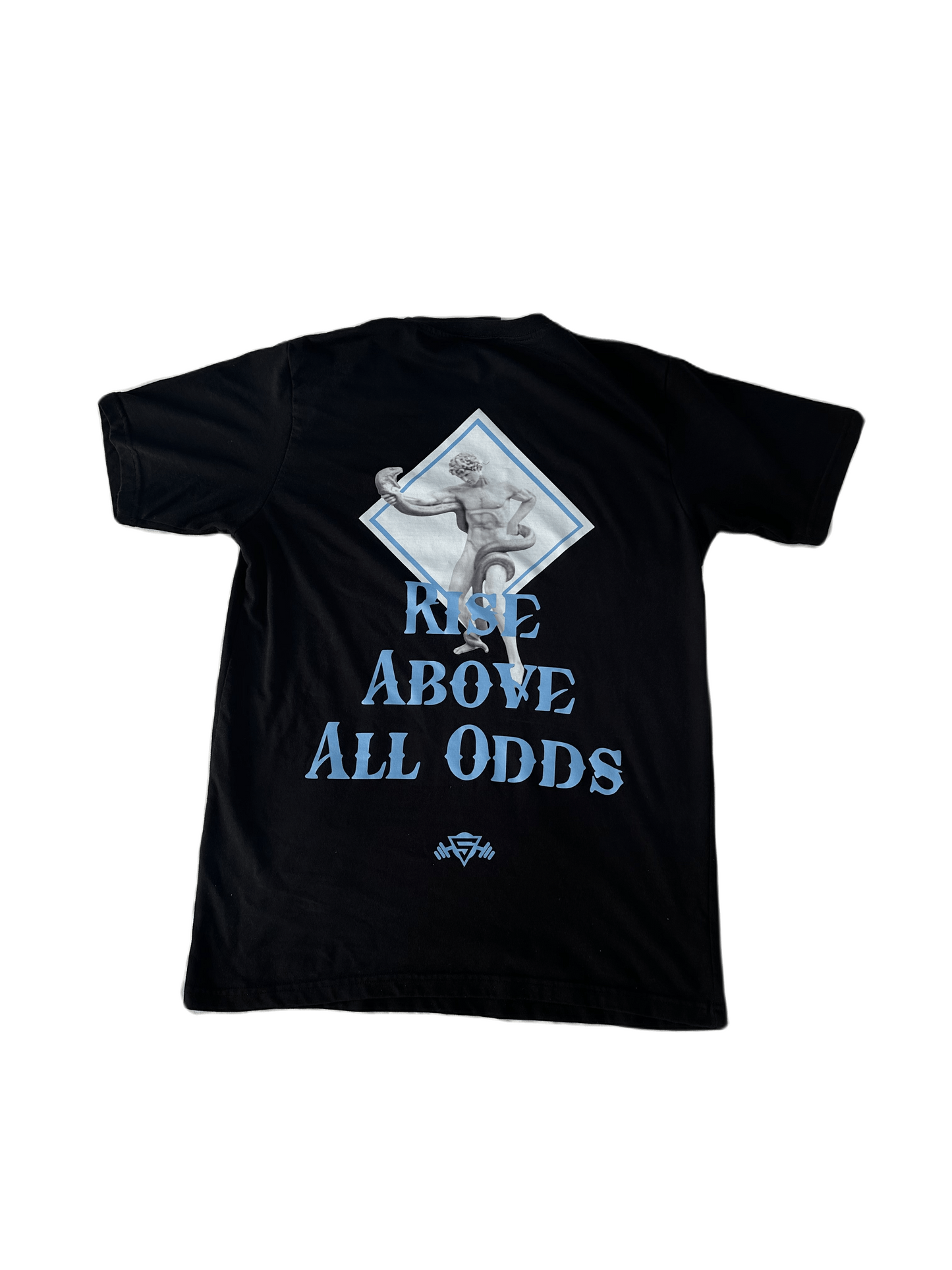 Rise above all odds fitted tee (sky blue)