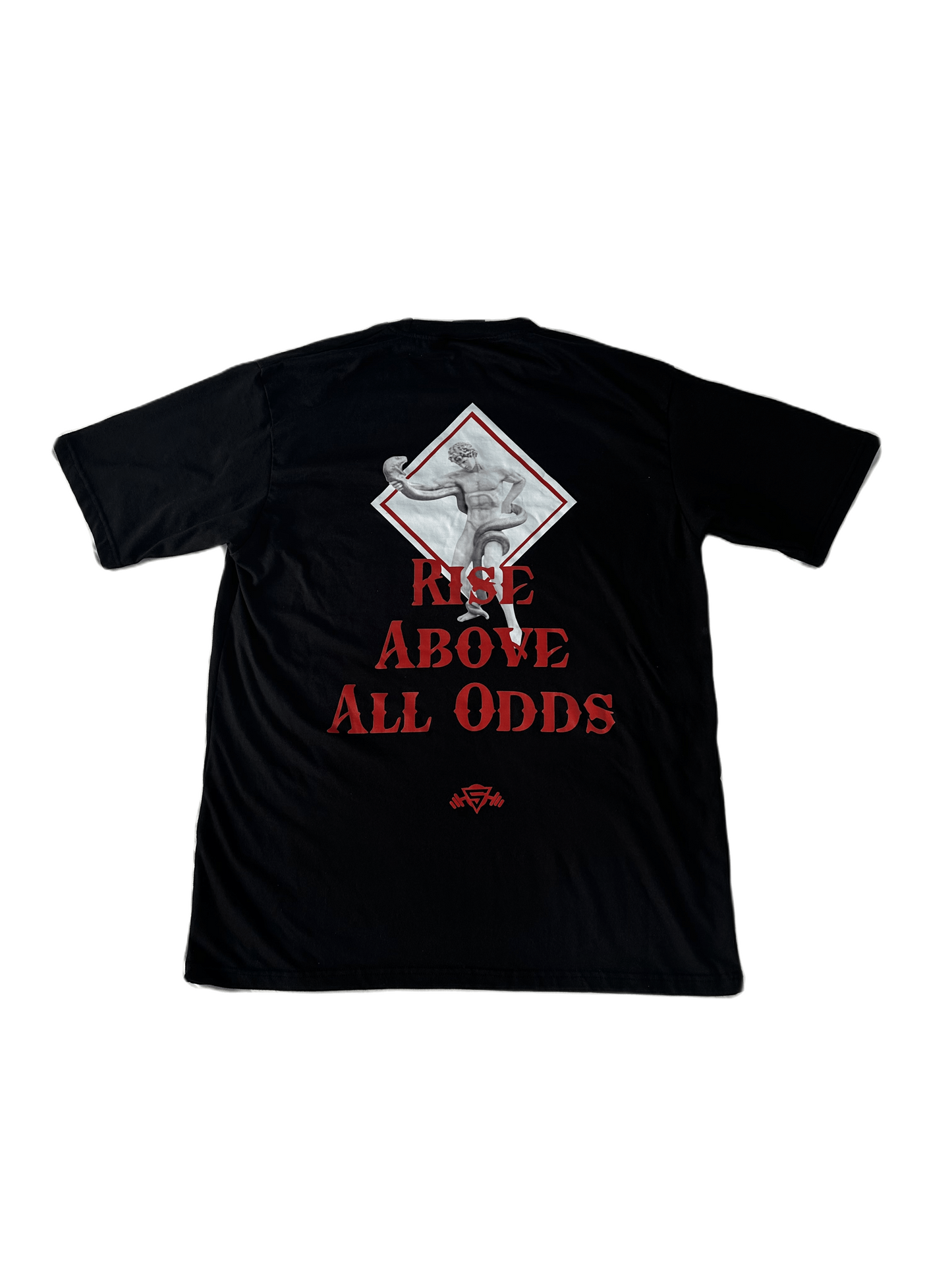 Rise above all odds tee (maroon)